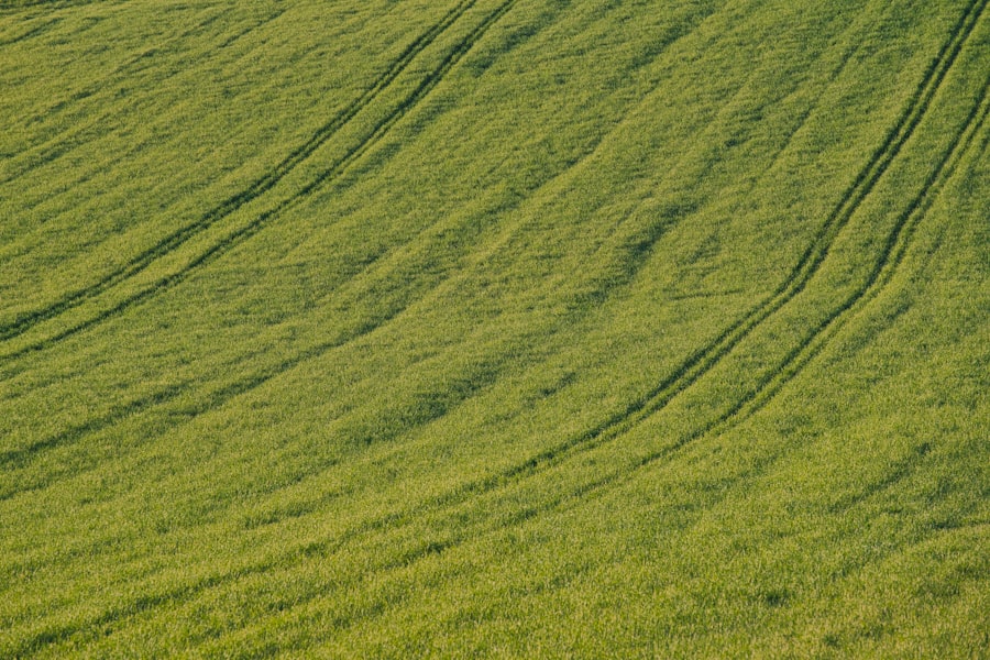 Finanse zrównoważone: zielone obligacje