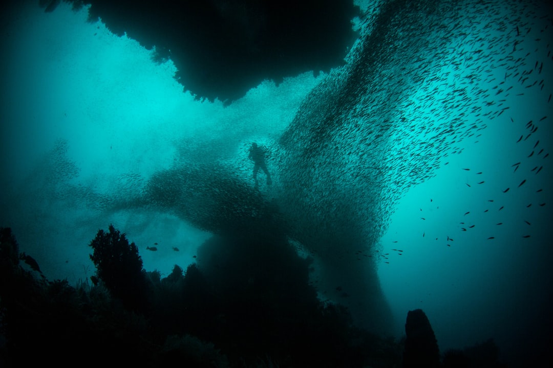 Photo Underwater exoskeletons