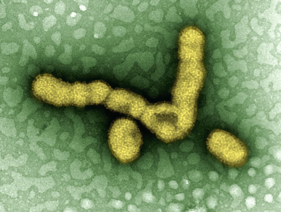Photo virus strains